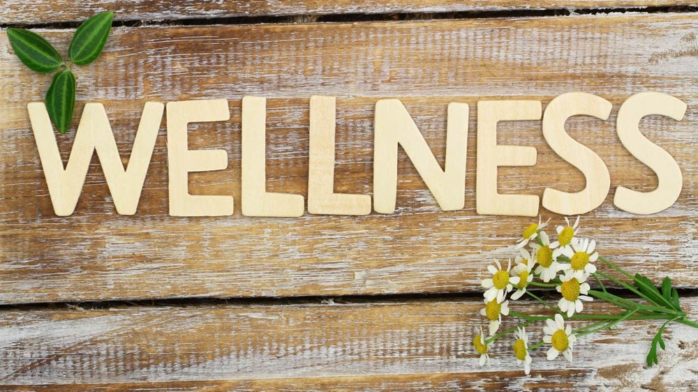 What Is A Natural Root Wellness Starter?