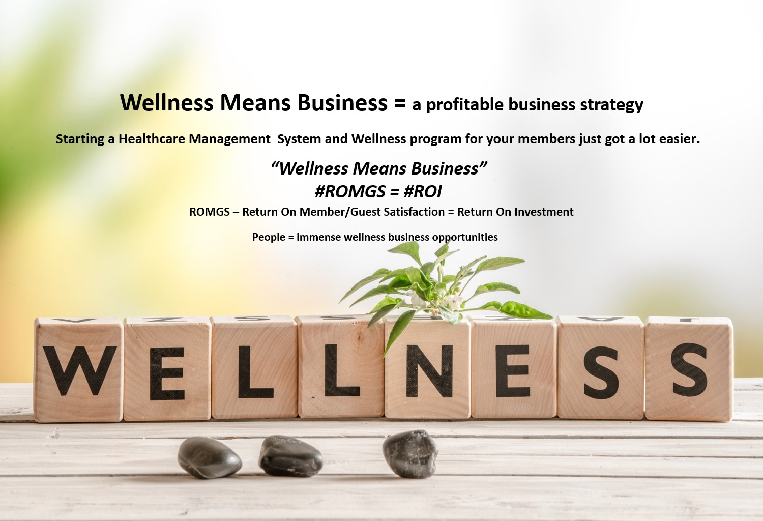 What Is Wellness Business System?